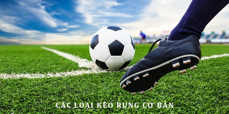 Những hình thức cá độ Running Ball đỉnh cao