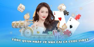 Tìm hiểu quá trình hoạt động và phát triển của nhà cái